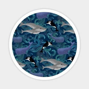 Beautiful Ocean Giants - teal Magnet